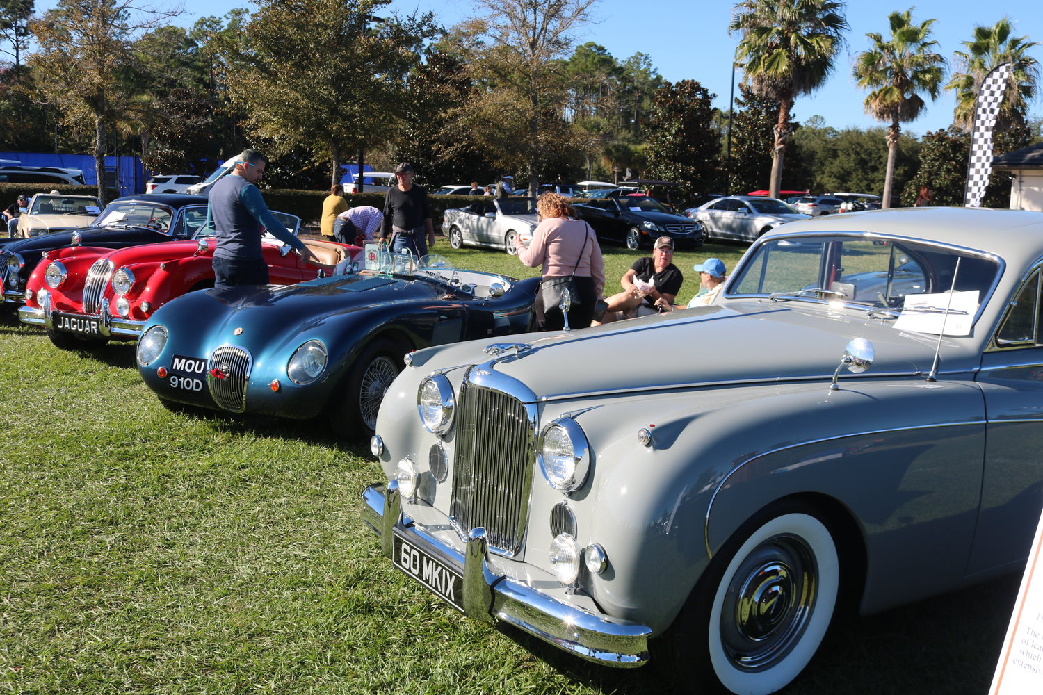 Jaguars were featured at this year’s event.